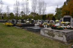 DSC_2077_800x533