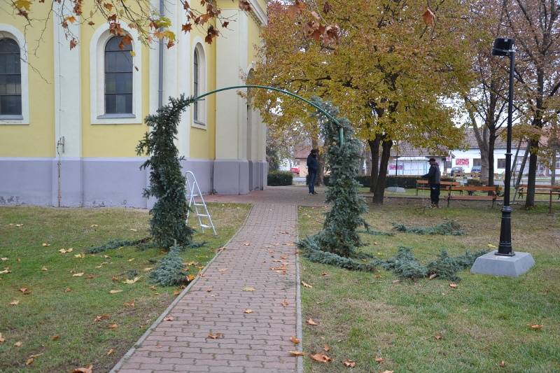 DSC_2465_800x533