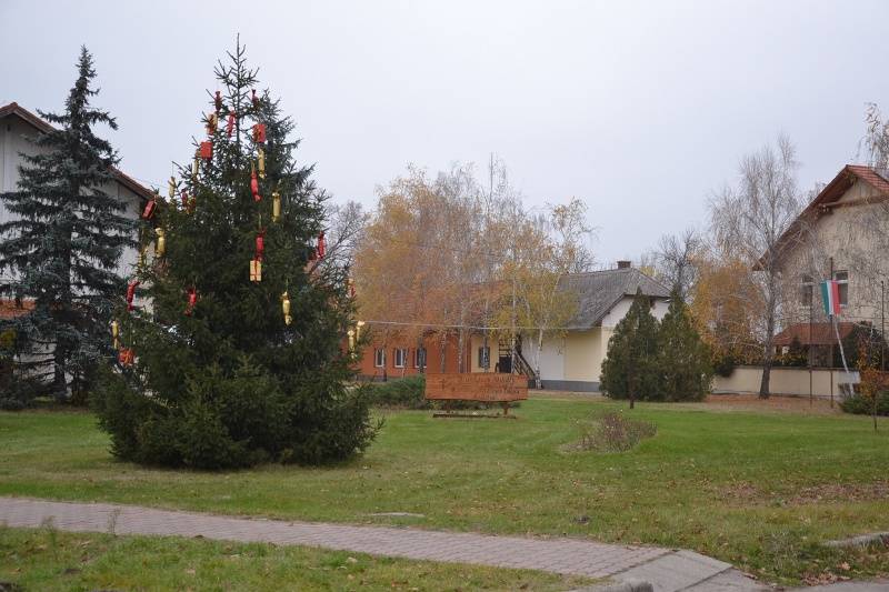 DSC_2520_800x533