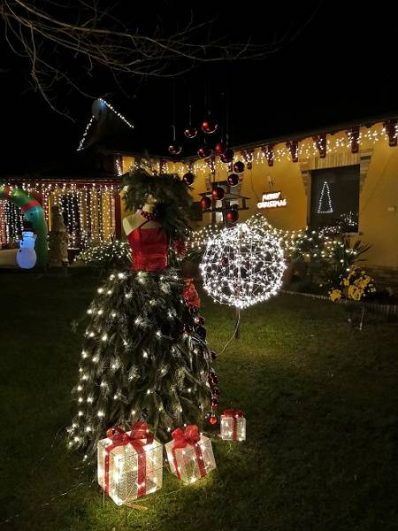 IMG_20201203_172327_450x600