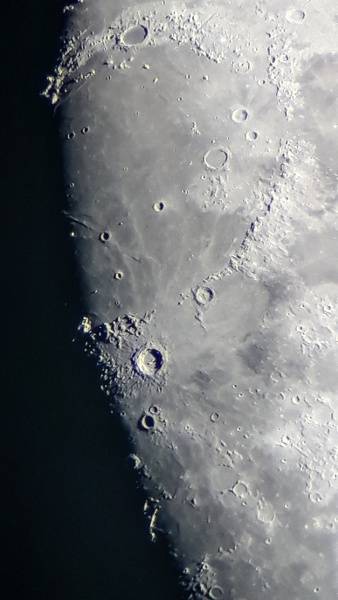 7_338x600