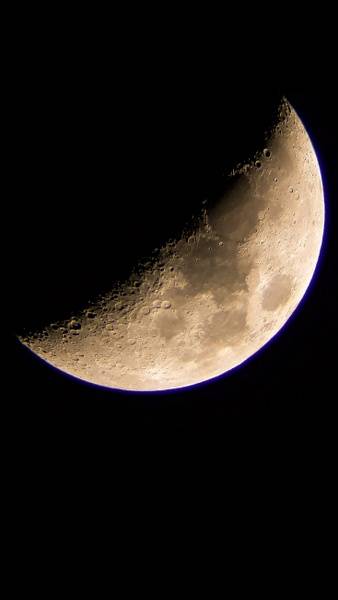 8_338x600