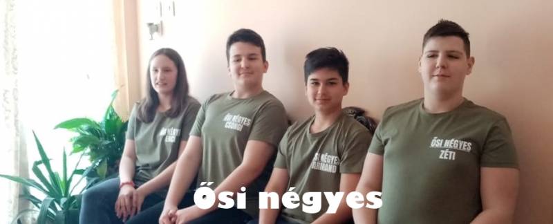Osi-negyes