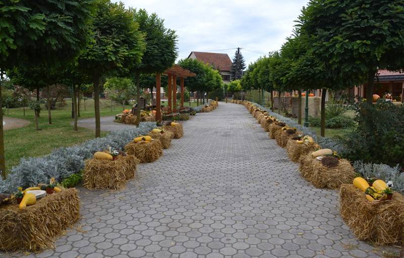 diszites_025