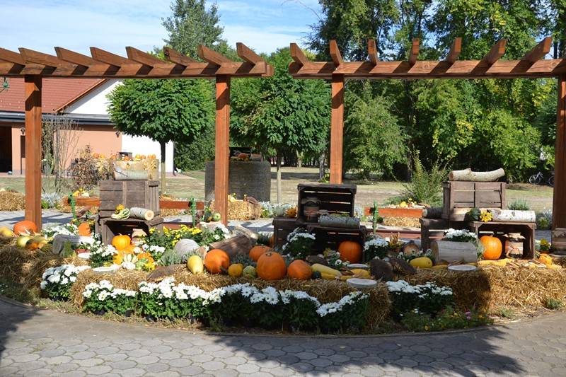 diszites_064