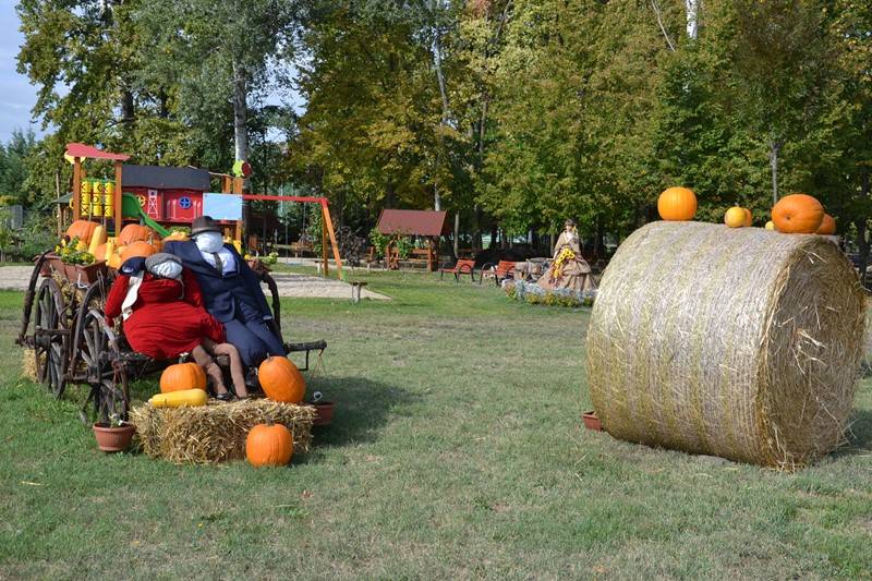 diszites_066