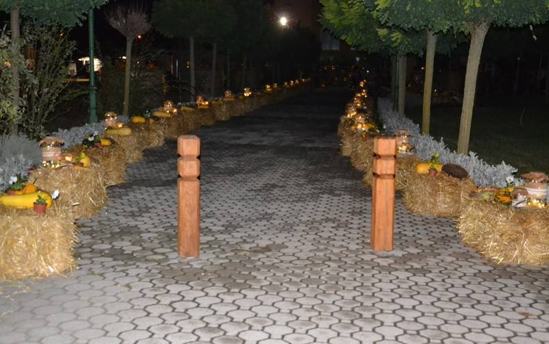 diszites_071