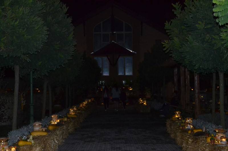 diszites_073