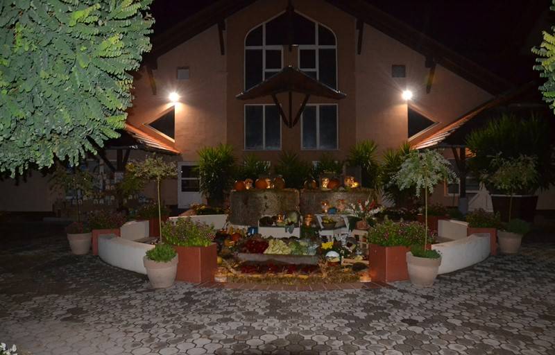 diszites_076