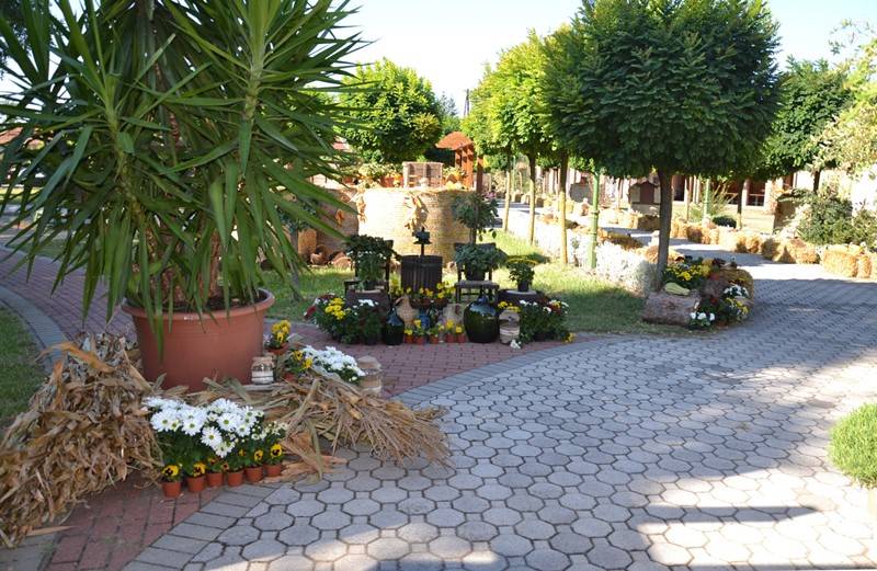 diszites_082