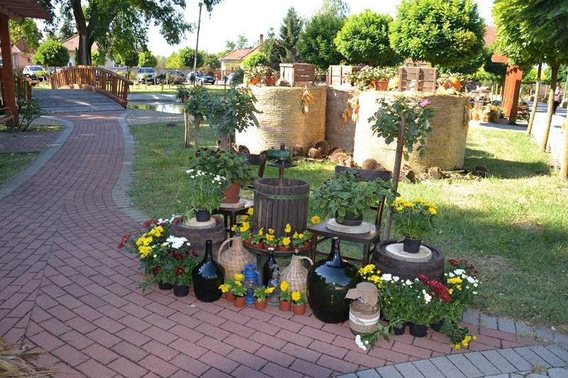 diszites_083
