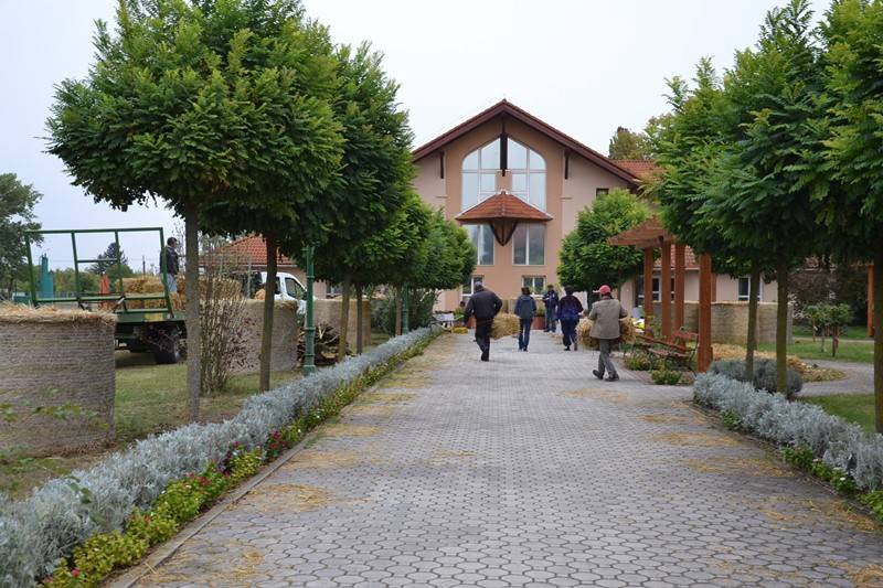 diszites_097