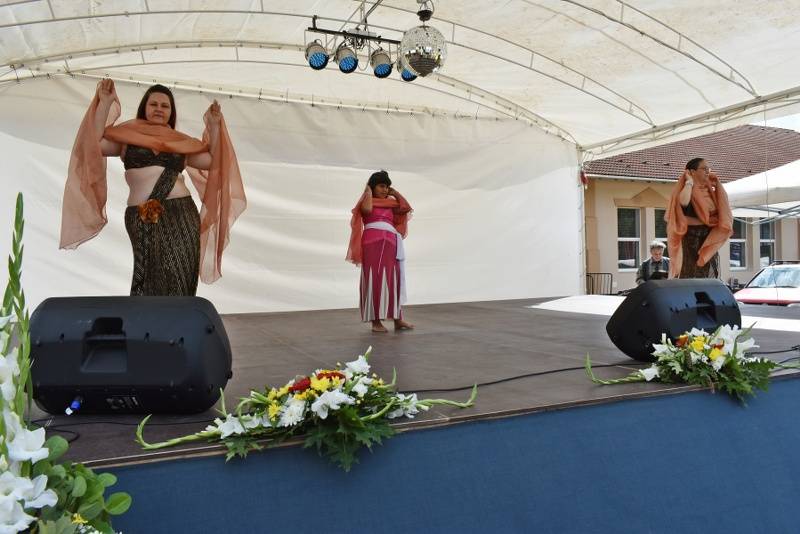 DSC_1162_800x534