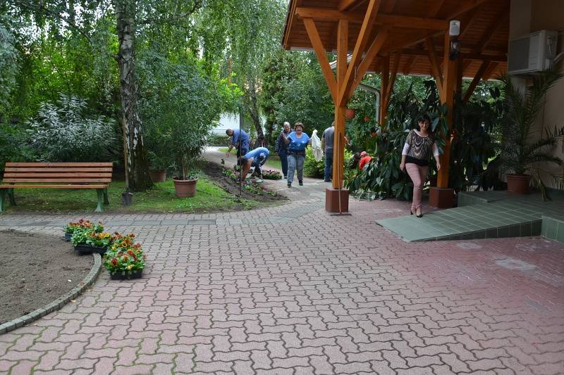 DSC_8517_800x533