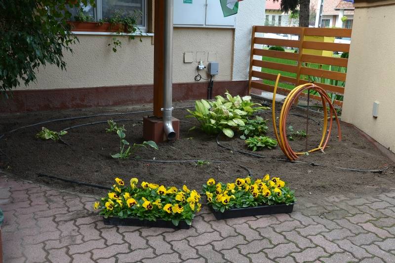 DSC_8518_800x533