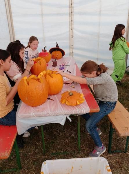 246939945_361361089104134_2568511809206118327_n_445x600