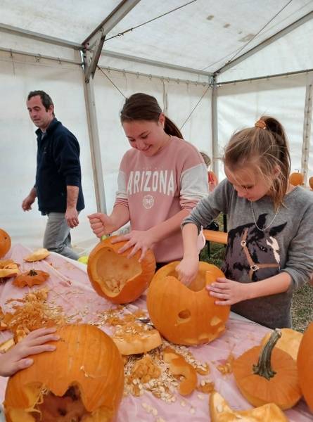 247086599_201556635442158_2157171116928194602_n_445x600