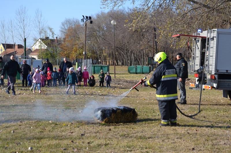 DSC_0883_800x533