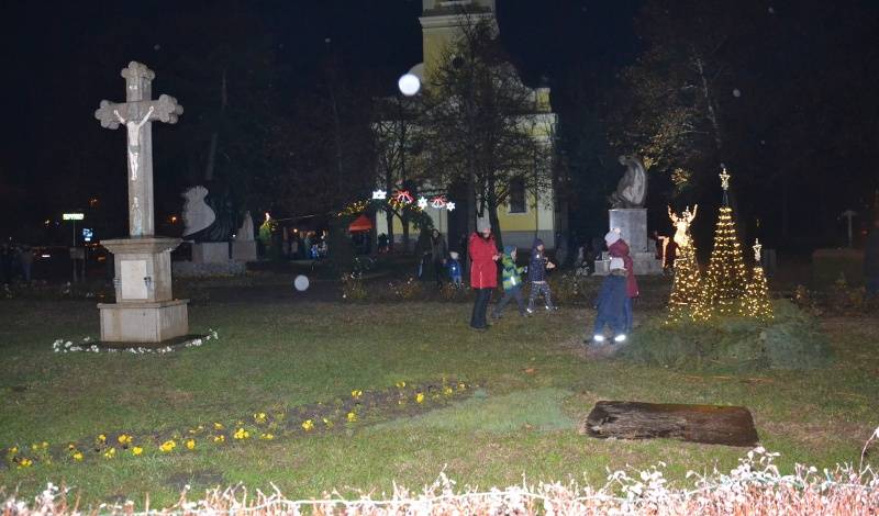 DSC_1178_800x470