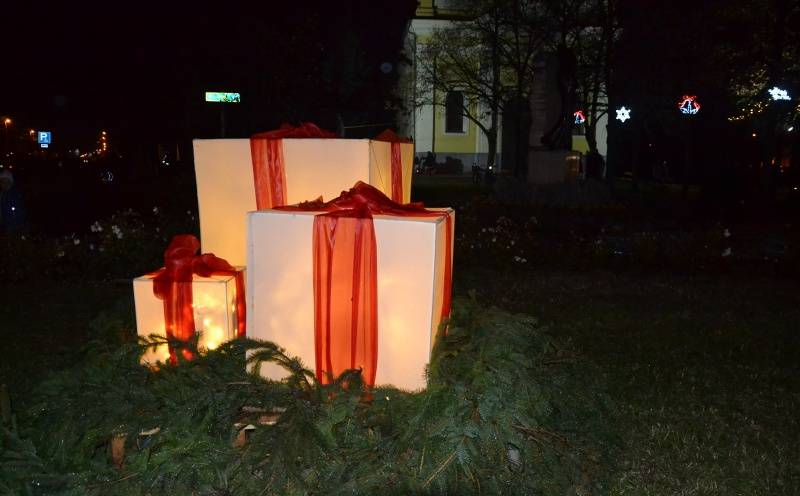 DSC_1181_800x496