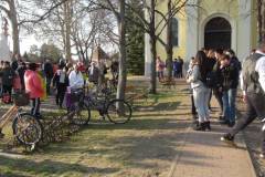 14-DSC03166