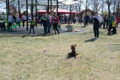 DSC_2600-Kozepes