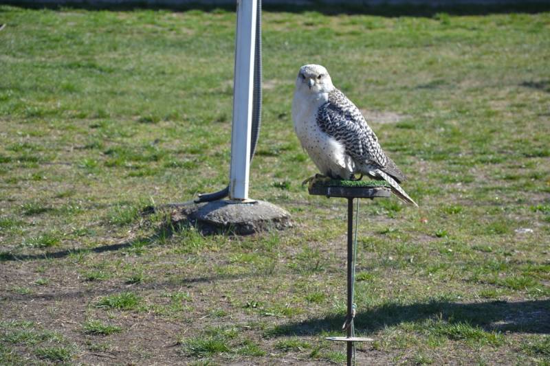 DSC_3132-Kozepes