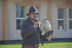 DSC_3134-Kozepes