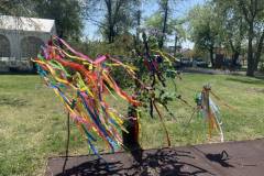 IMG_4843-Kozepes