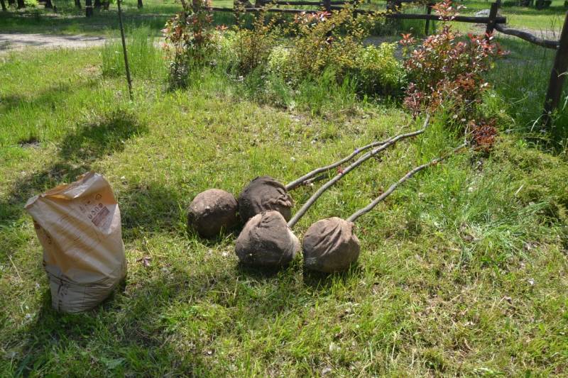 DSC_3673-Kozepes