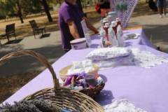IMG_3286-Kozepes