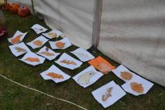 DSC_9334-Kozepes