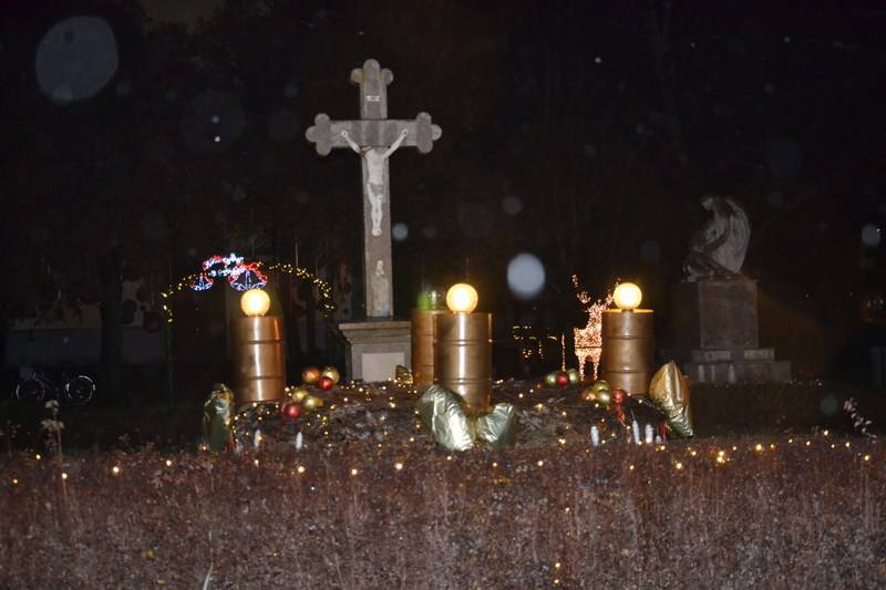 mini-DSC_6838