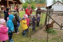 20230517_090253-Kicsi