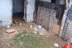 20230517_091105-Kicsi