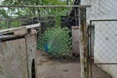20230517_102925-Kicsi