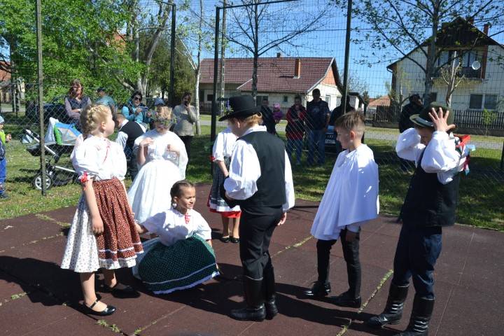 DSC_5565-Kicsi