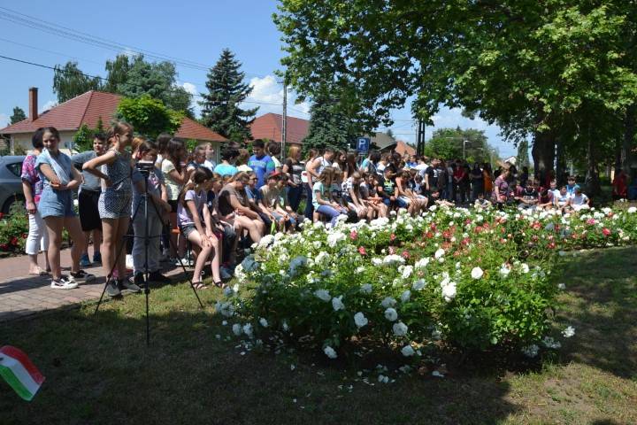 DSC_6464-Kicsi