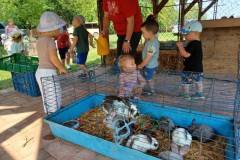 20230620_094920-Kicsi