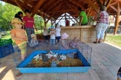 20230620_095439-Kicsi