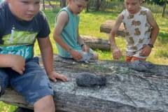 20230619_094946-Kicsi