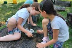 20230619_113448-Kicsi