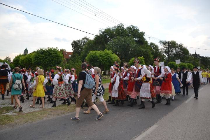 DSC_8087-Kicsi
