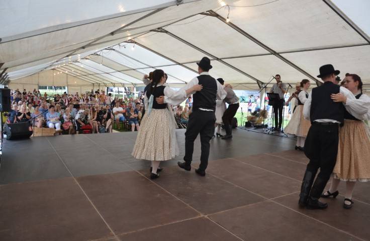 DSC_8164-Kicsi