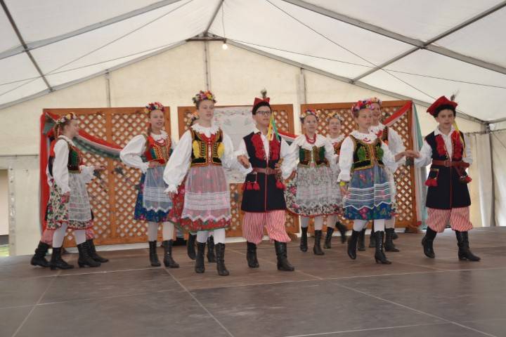 DSC_8172-Kicsi
