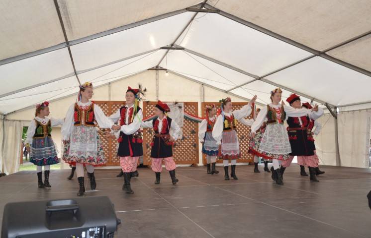 DSC_8180-Kicsi