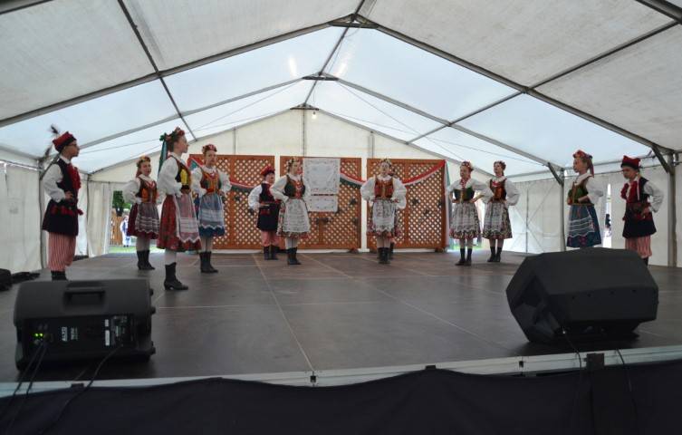 DSC_8182-Kicsi