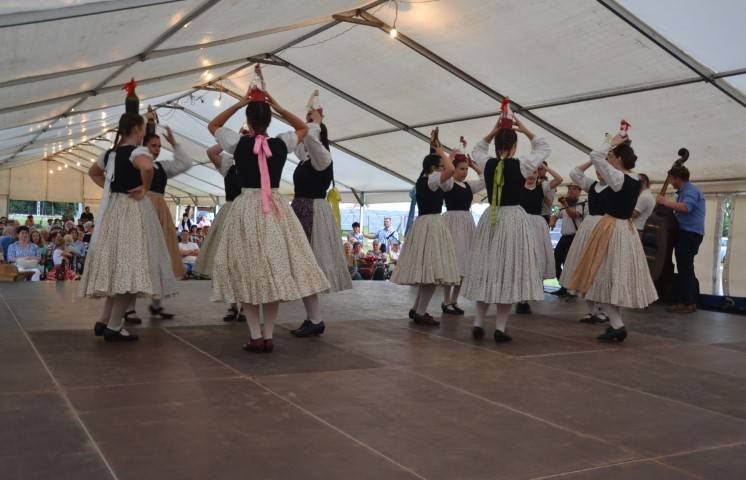 DSC_8234-Kicsi
