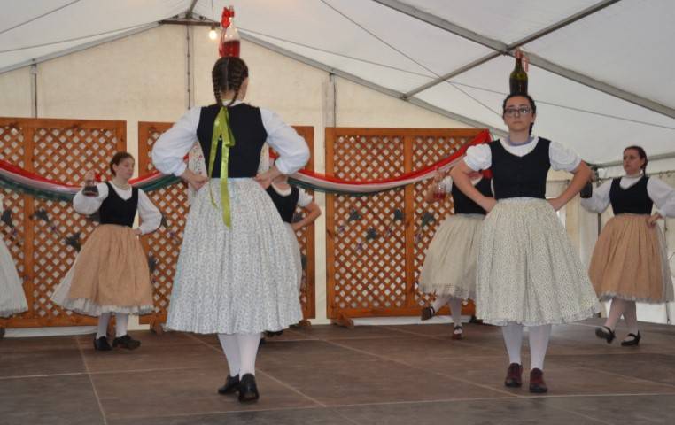 DSC_8239-Kicsi
