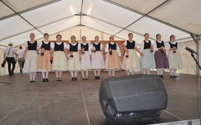 DSC_8243-Kicsi